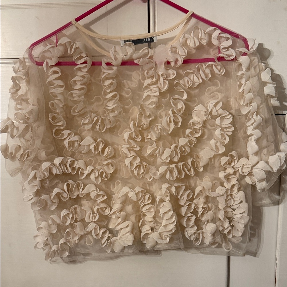 Zara Beige Ruffle Blouse - Picture 3 of 4